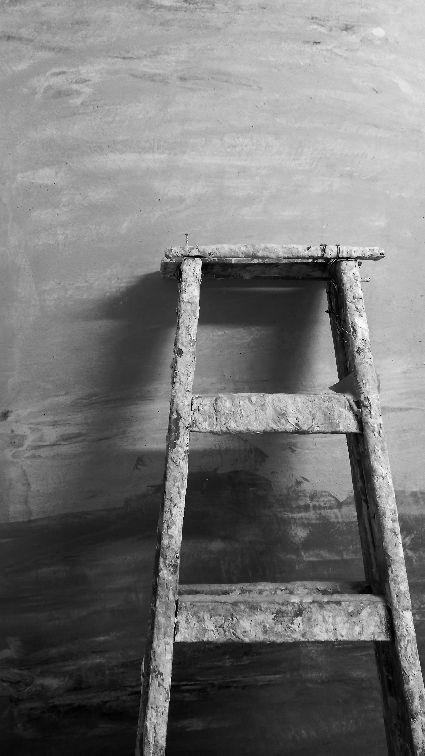 Escala Grises. Carboncillo para principiantes.